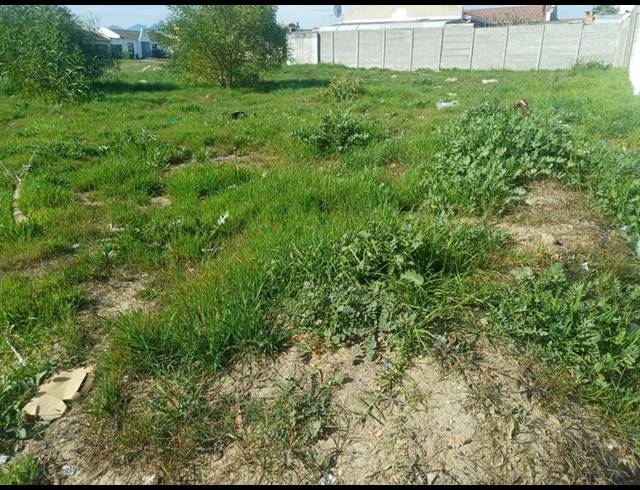 LAND FOR SALE IN NORTHPINE
